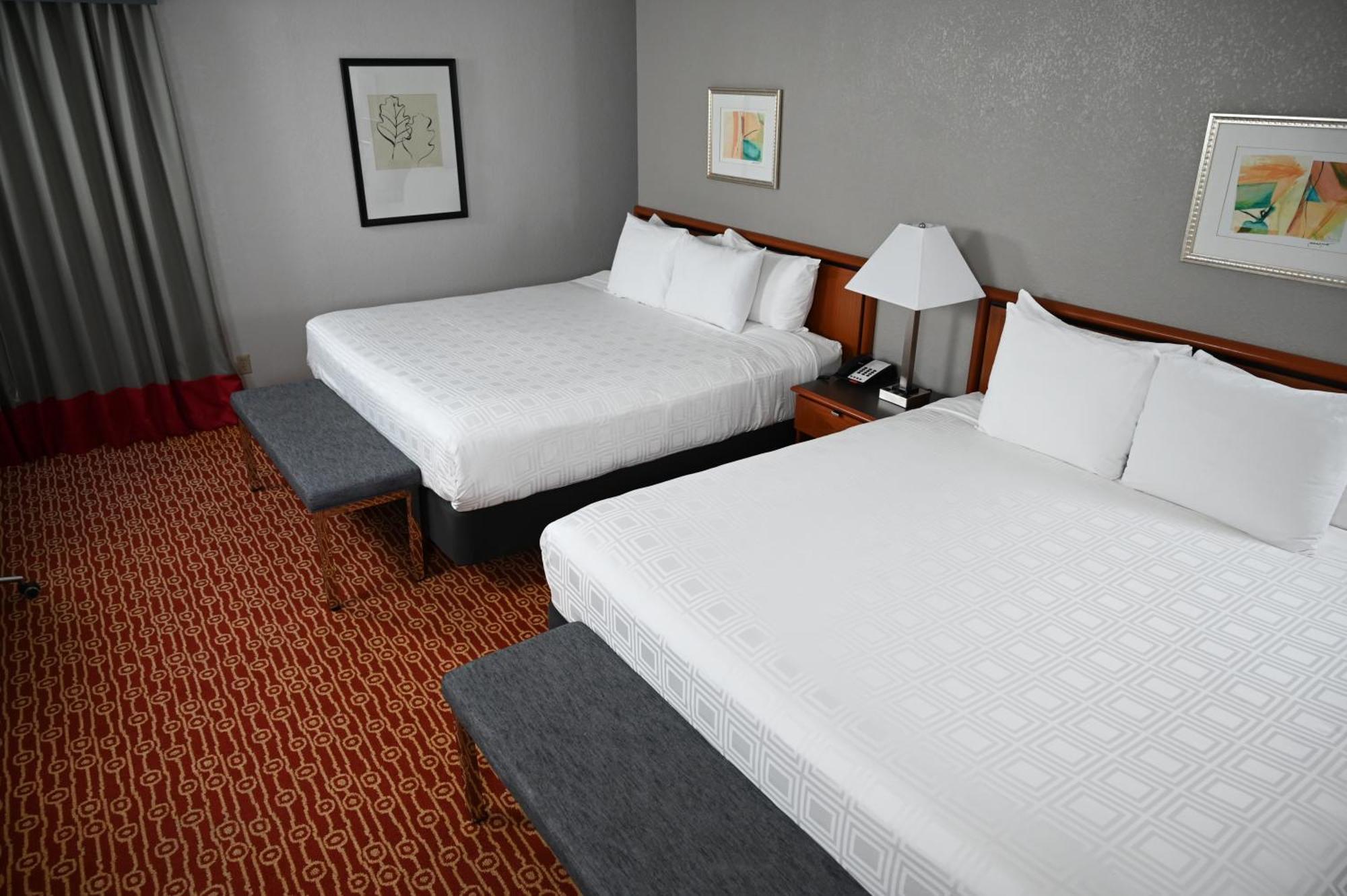 Atrium Hotel And Suites Dfw Airport Irving Exteriér fotografie